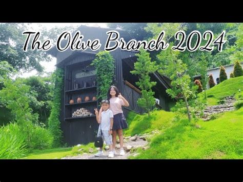 The Olive Branch Cafe Bernuansa Eropa Di Taman Dayu Pandaan Pasuruan