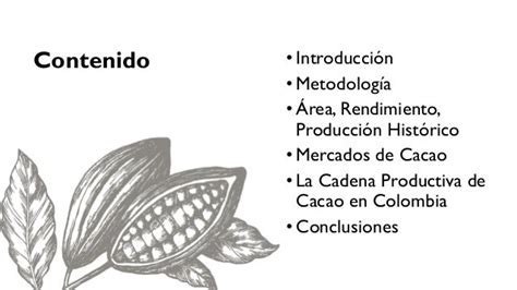 Cacao Para La Paz Un Análisis De La Cadena Productiva De Cacao En Co