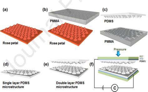 Fabrication Of Biomimicking Flexible Pdms Micronano Hierarchical