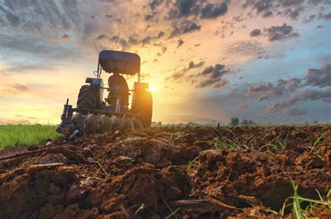 Primavera melhores práticas de cultivo Summit Agro