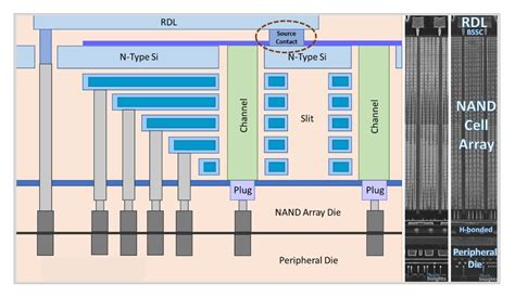 Ymtc Is A Leading Pioneer In D Nand Techinsights