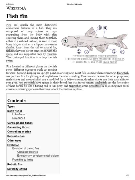 Fish Fin: Types Bony Fishes | PDF | Vertebrates | Aquatic Animals