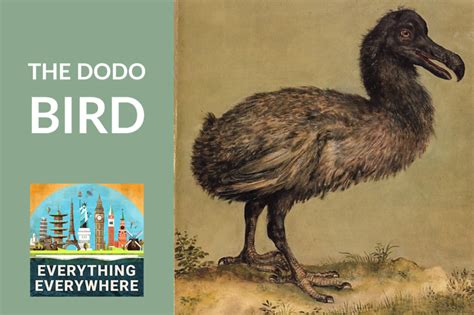 The Dodo Bird