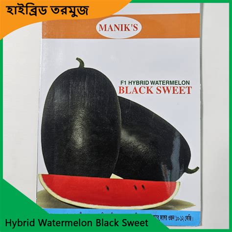 Watermelon Seeds Siraj Tech