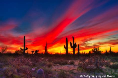 Mesa Arizona Journey With Joe And Jane