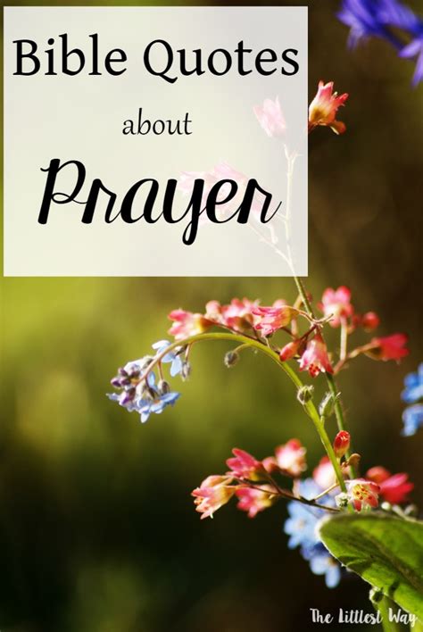 Bible Quotes about Prayer • The Littlest Way