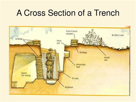 World War I Trench Diagram