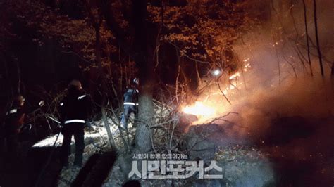 전남 순천 산불 5시간 18분만에 주불 진화완료