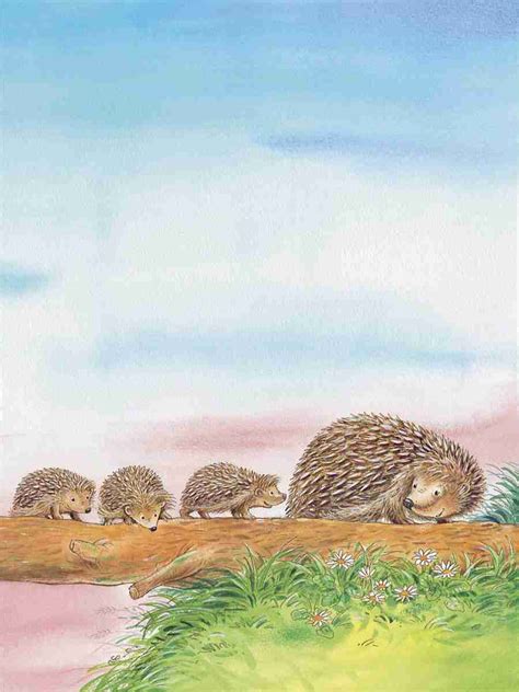 Как живут ёжики. Познавательные истории — 365 Книг