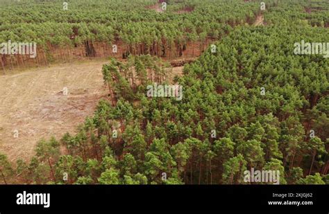 Tuchola Forest National Park Stock Videos And Footage Hd And 4k Video