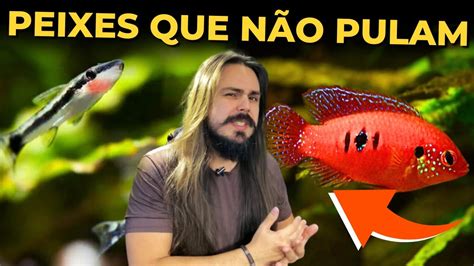 PEIXES QUE NÃO PULAM DO AQUÁRIO Mr Betta YouTube