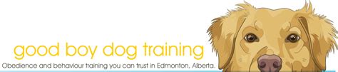 Good Boy Dog Training Edmonton