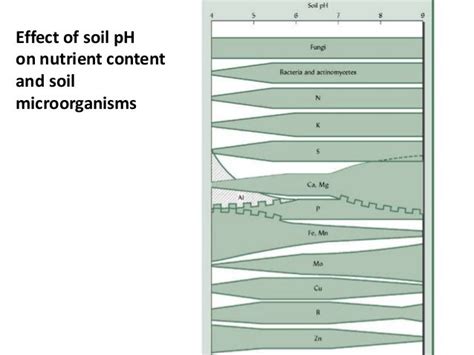 15. soil alkalinity By Allah Dad Khan