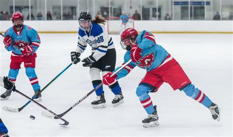 Girls High School Hockey Arrowhead Co Op Vs Lakeshore Lightning Co Op