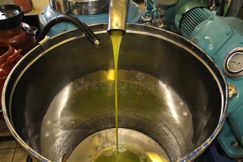 Extra Virgin Olive Oil Extraction Process in Olive Oil Mill Stock Image ...