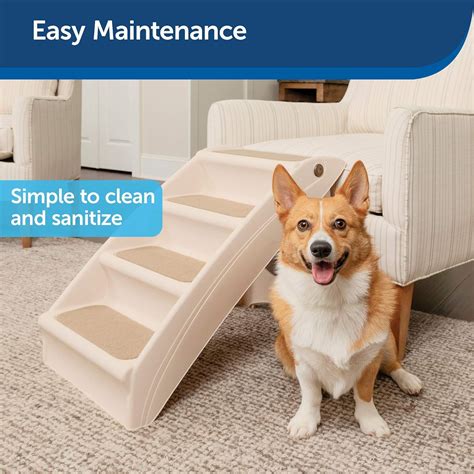 Buying A Ramp Or Stairs For A Corgi? Read This. - Corgi Planet