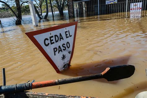 Paysandú tres olas consecutivas de crecida del Río Uruguay y 2 000