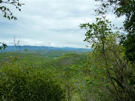 Guanica Dry Forest - Puerto Rico 1streetover travel