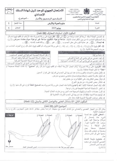 Examen régional SVT 3AC 2019 Dakhla Oued Ed Dahab Sujet AlloSchool