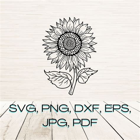 Sunflower Svg Eps Dxf Png  Instant Digital Download Silhouette