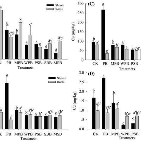 The Concentration Of HMs In Shoots And Roots Of Chinese Cabbage As