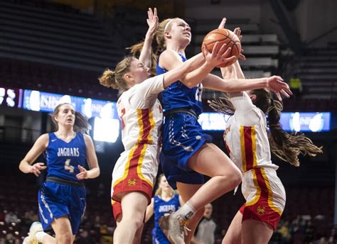 Basketball fandom at girls state tournament - West Central Tribune ...