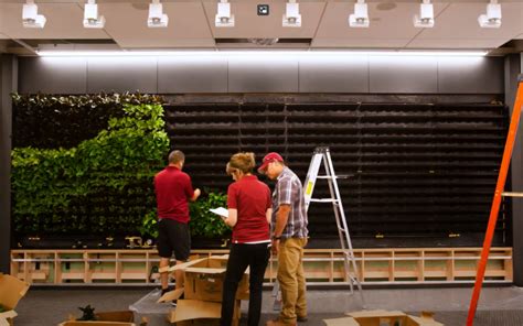 Watch Us Create A 22 Foot Living Wall Phillip S Interior Plants