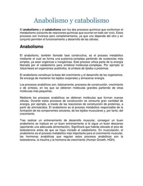 Anabolismo Y Catabolismo Medicbiologia Udocz