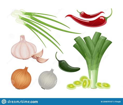 Onion In Assortment Shallot Chives Leek Red White And Yellow Onion