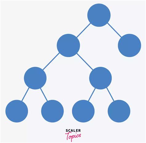 Binary Tree In Data Structure Scaler Topics