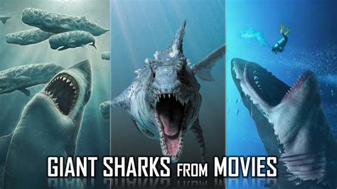 Top Biggest Movie Sharks In Youtube