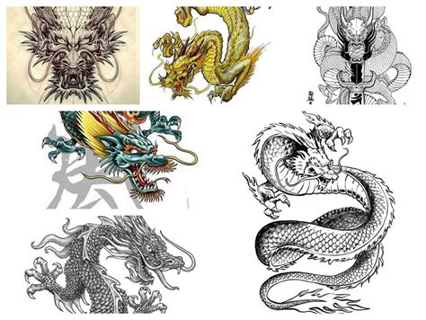 Tattoo Dragón Japonés Ryu - Camaleon Tattoo