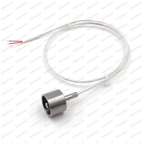 2m Rtd PT100 Temperature Sensor Probe With Stainless Steel Magnet Shell