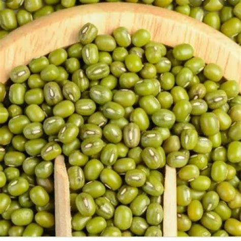 Green Moong Dal Gluten Free At Rs 155 Kg In Nagpur ID 2851707045597