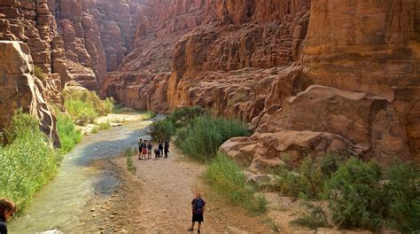 Mujib Nature Reserve in Jordan | Expedia.co.uk