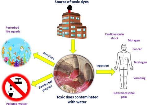 Impacts Of The Toxic Dyes On The Environment Aquatic Life And Human