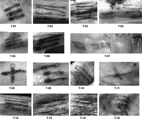 An In depth Exploration of Ötzi s Tattooing Technique