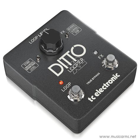 TC Electronic Ditto X2 Looper Pedalดานซาย Music Arms