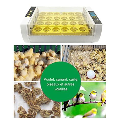 WIDEN 24 Egg Incubator Hatcher Digital Clear Temperature Control