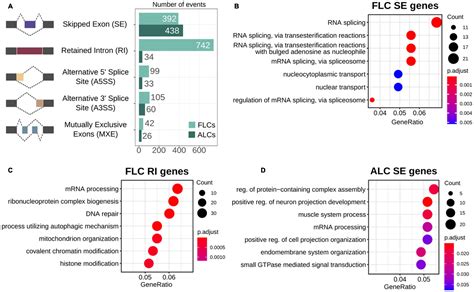 Frontiers Specific Transcriptomic Signatures And Dual Regulation Of