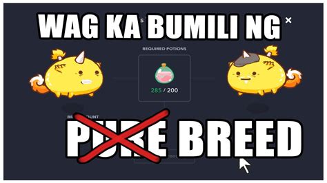 AXIE INFINITY WAG KA BIBILI NG PURE BREED YouTube