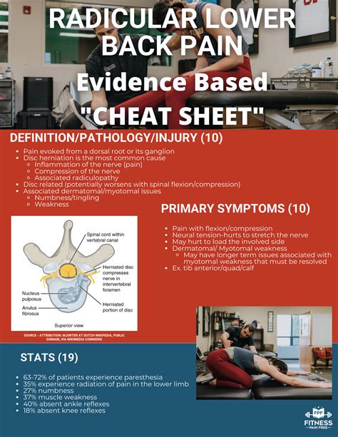 How I Evaluate Radicular Low Back Pain From A Herniated Disc Physical