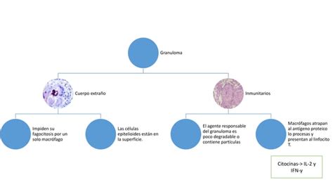 Inflamaci N Granulomatosa Ppt