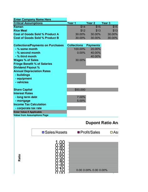 SOLUTION: Business plan excel template - Studypool