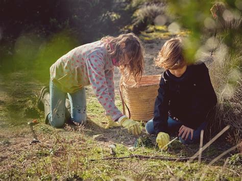 Entzückende Kinder sammeln im Wald im Sonnenlicht Müll und Plastikmüll