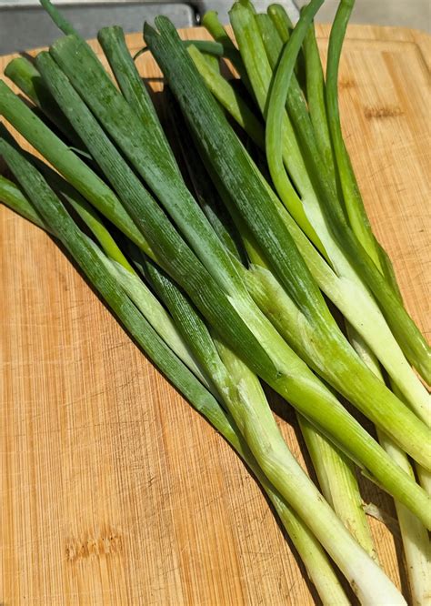 Authentic Grilled Mexican Green Onions Whats Smoking