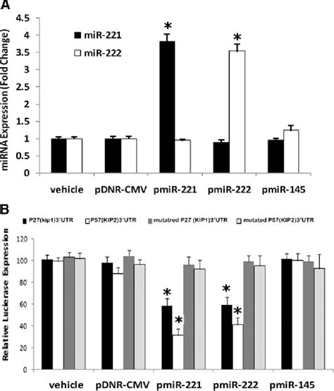 Figure From A Necessary Role Of Mir And Mir In Vascular