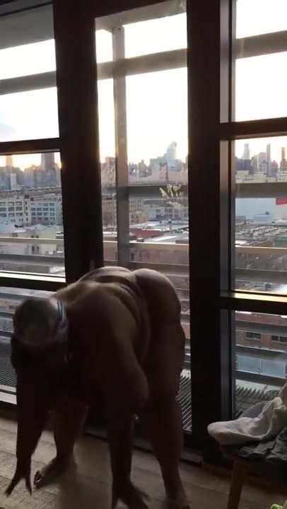 Shake That Fat Ass Ssbbw Porn Xhamster