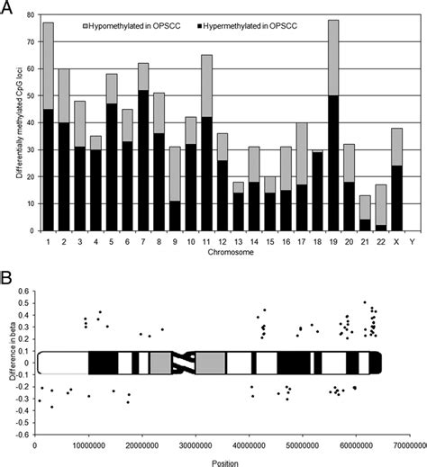 A Chromosomal Distribution Of All 958 Differentially Methylated Cpg