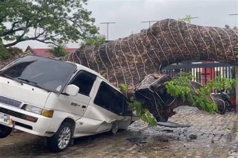 2 Sasakyan Nabagsakan Ng Puno Sa Taytay Rizal ABS CBN News